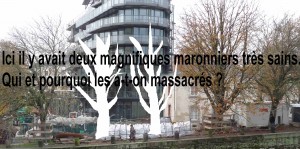 maronniers massacres